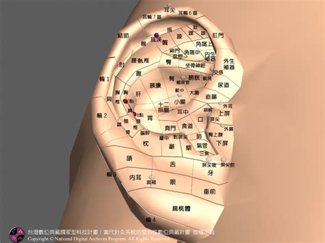 風溪|【風溪】風溪穴：解救肩頸痠痛、頭痛的神奇穴道